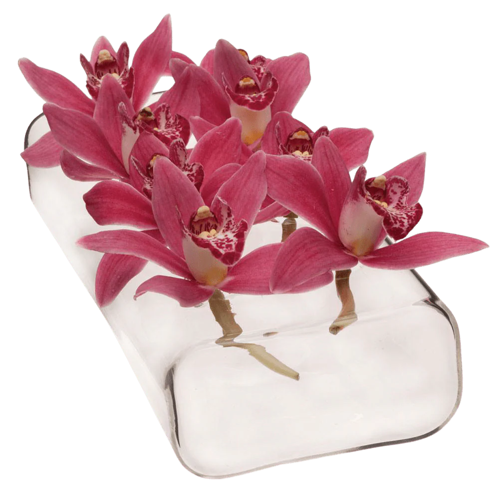 Rectangle Flute Glass Modern Clear Flower Vase - Image 5