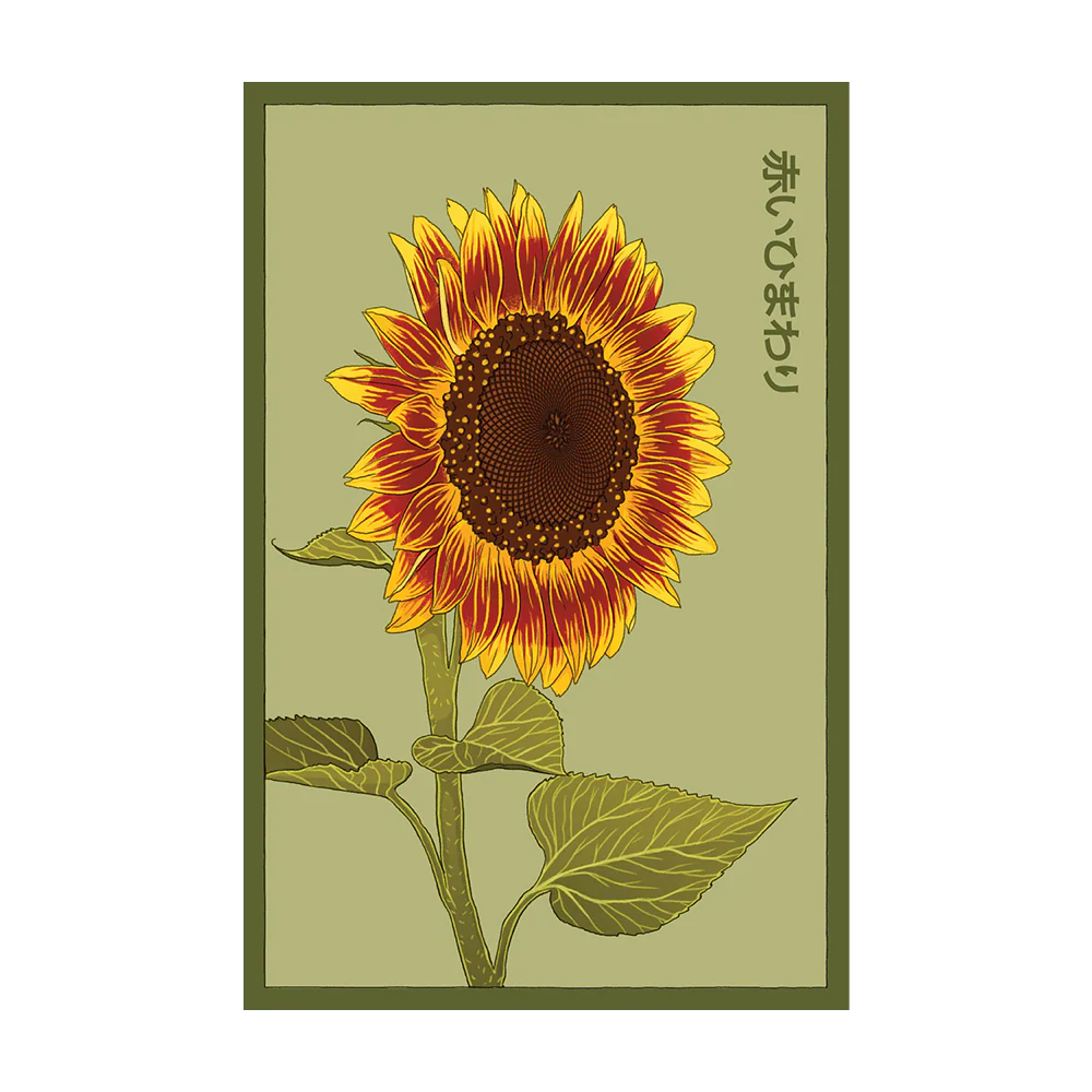 Red Sunflower Flower Seeds Packet