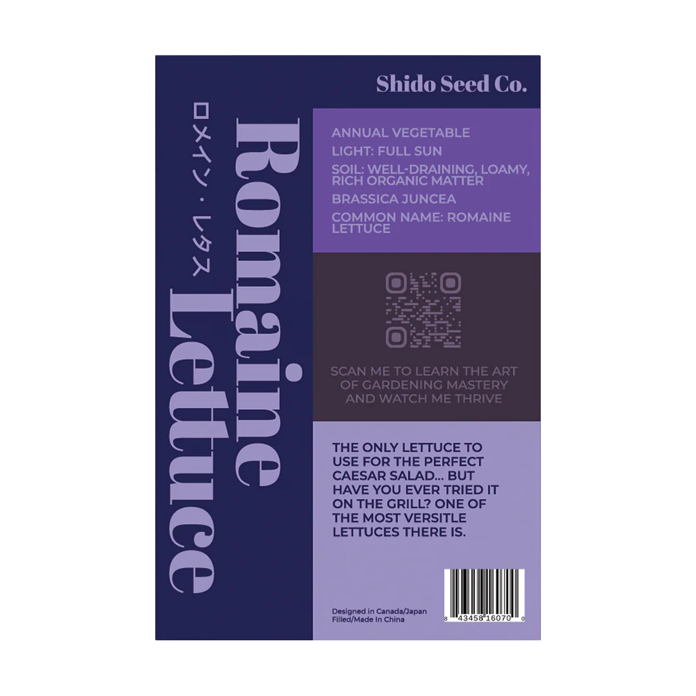 Romaine Lettuce Vegetable Seeds Packet - Image 2