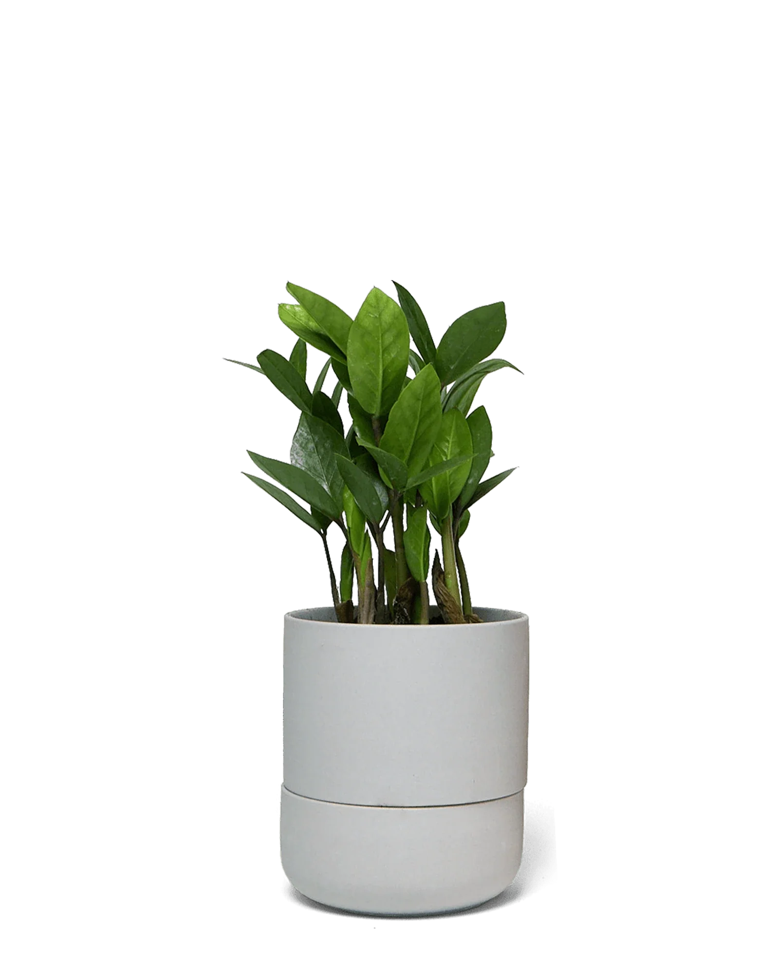 Ryan Self-Watering Plant Pots - Image 18
