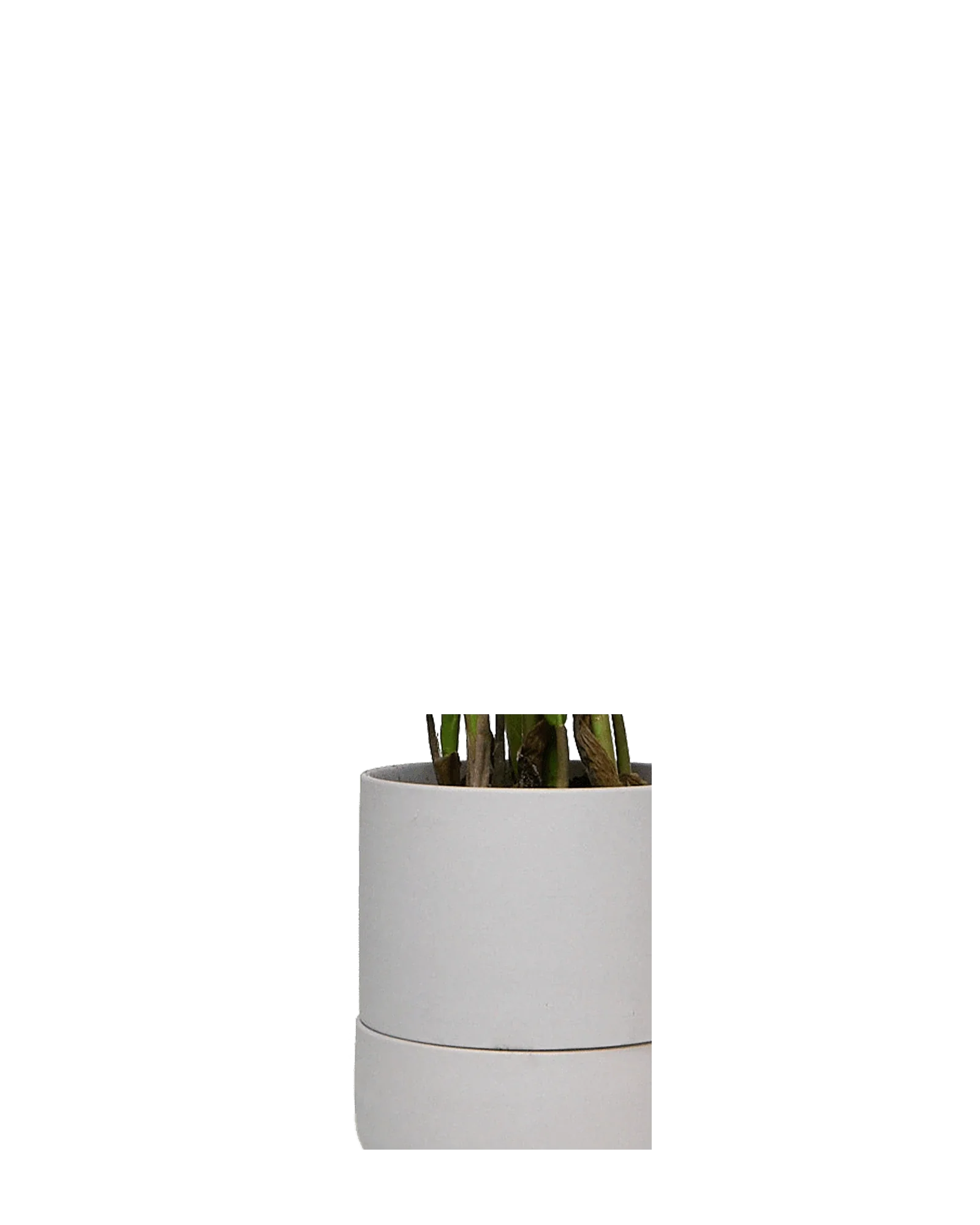 Ryan Self-Watering Plant Pots - Image 20