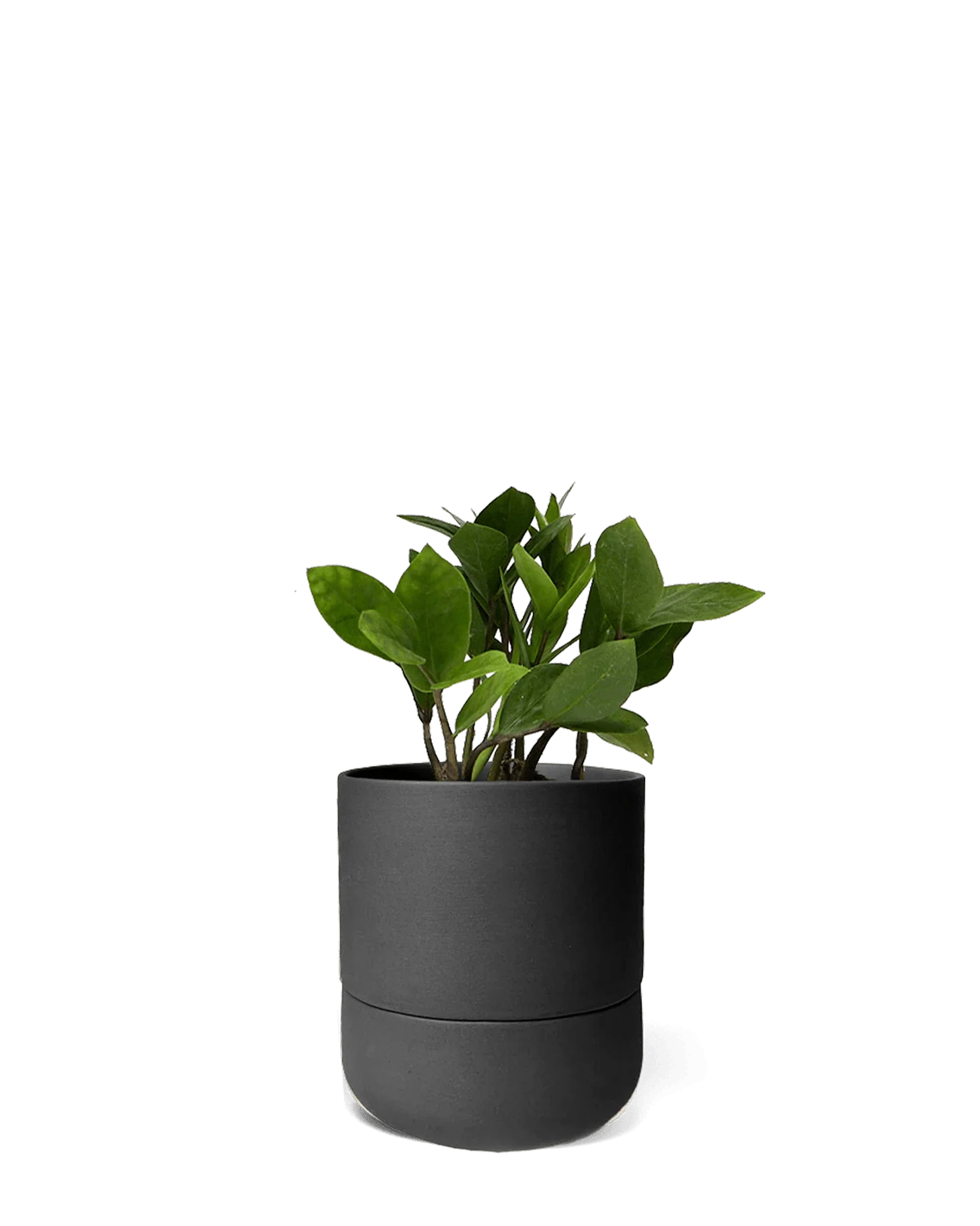 Ryan Self-Watering Plant Pots - Image 23