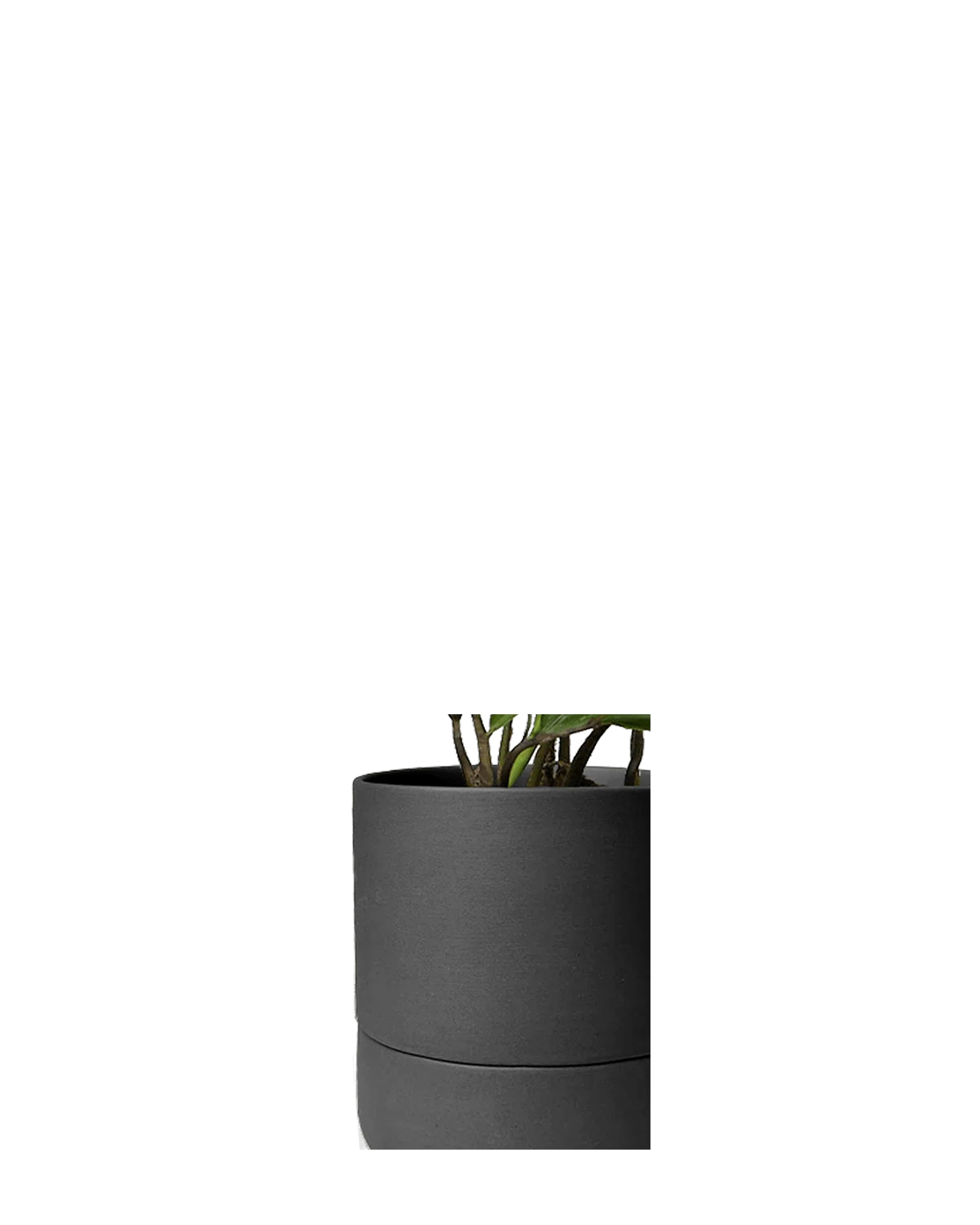 Ryan Self-Watering Plant Pots - Image 25