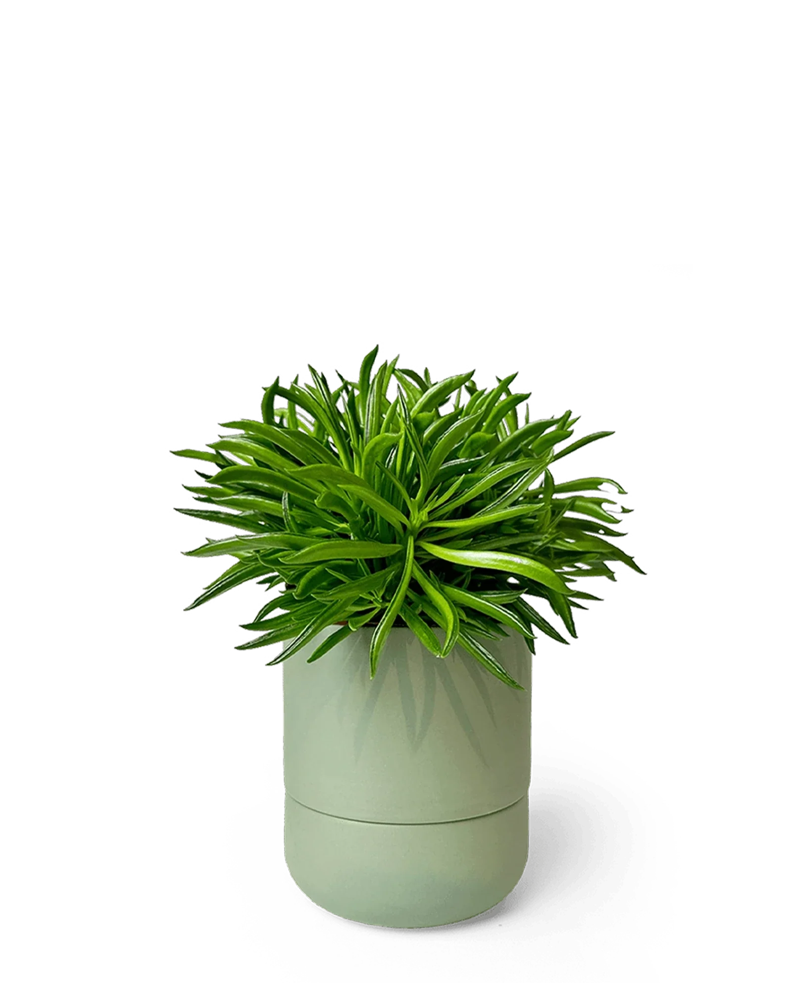 Ryan Self-Watering Plant Pots - Image 8