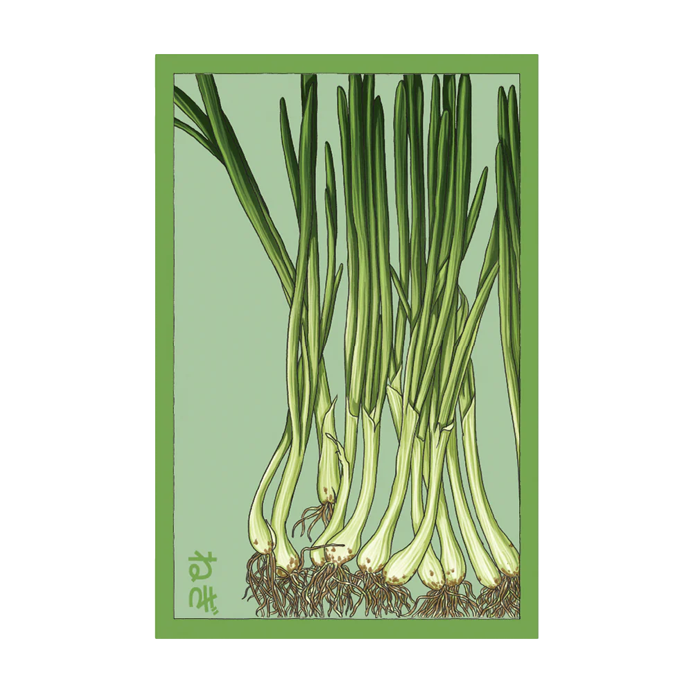 Scallions Vegetable Seeds Packet