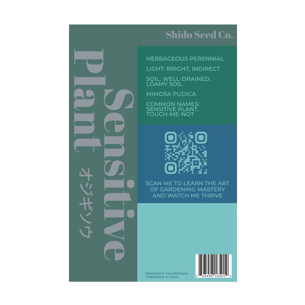 Sensitive Plant Indoor Houseplant Seeds Packet - Image 2