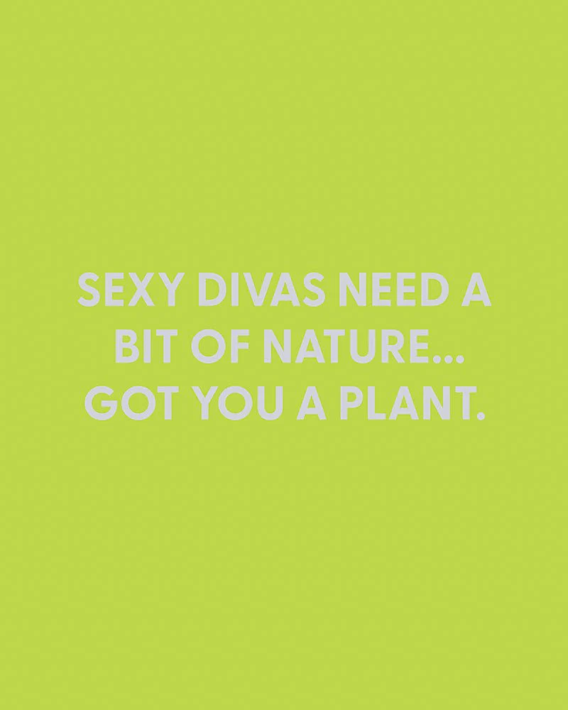 Sexy divas need a bit of nature... Got you a plant. - Greeting Card