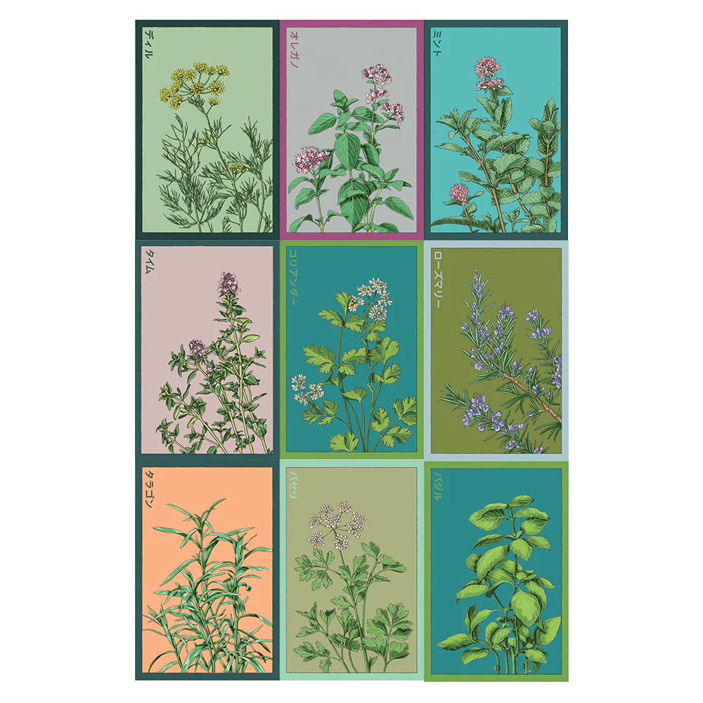 Herbs Seed Bundle - 12pc Assortment