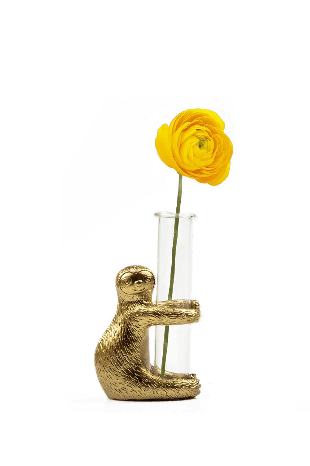 Sloth Metal & Glass Propagator