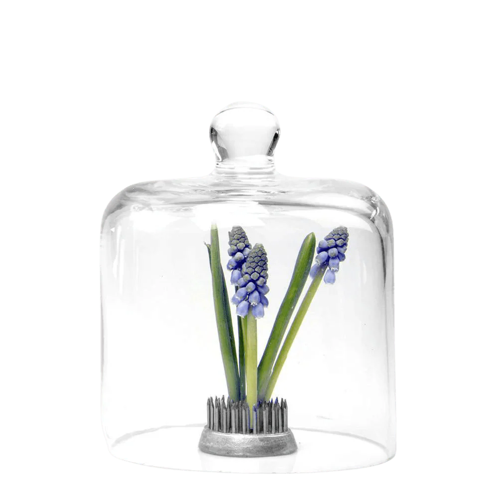 Gip Glass Cloche