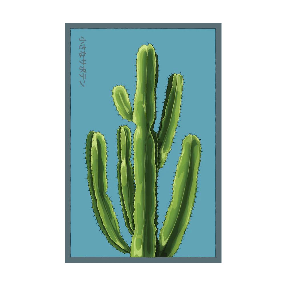 Small Mixed Cacti Indoor Houseplant Seeds Packet
