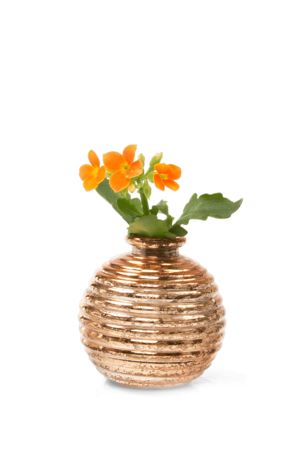 Smasak Glass Bud Vase