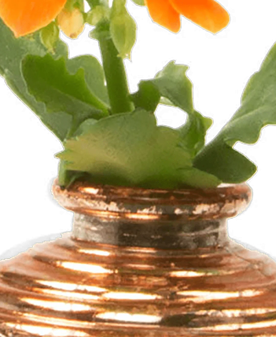 Smasak Glass Bud Vase - Image 3