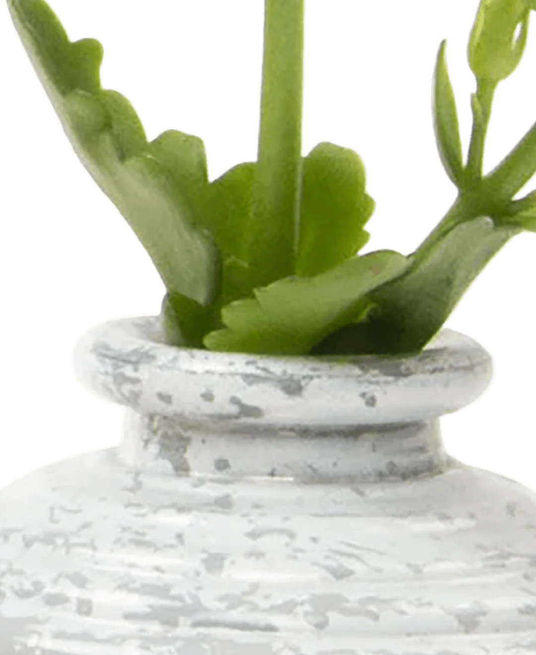 Smasak Glass Bud Vase - Image 7