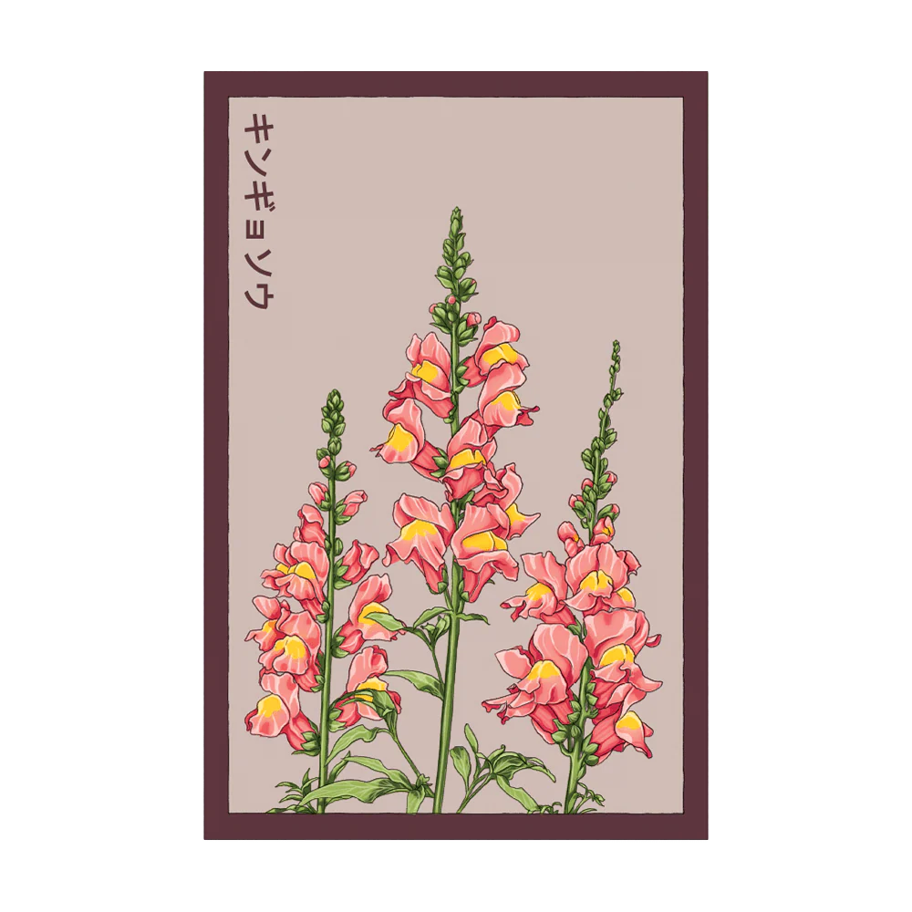 Snapdragon Flower Seeds Packet