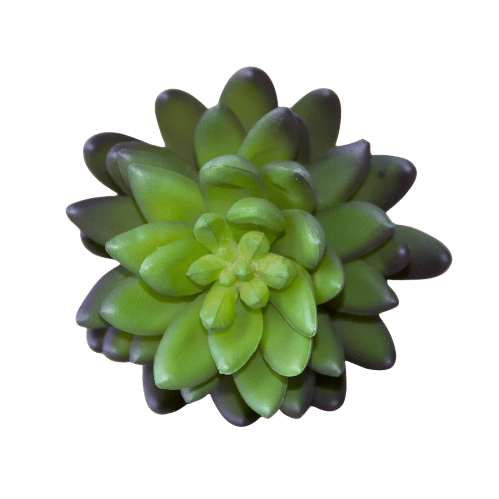 Succulents Fake Faux Lifelike Decorative Things - Image 10