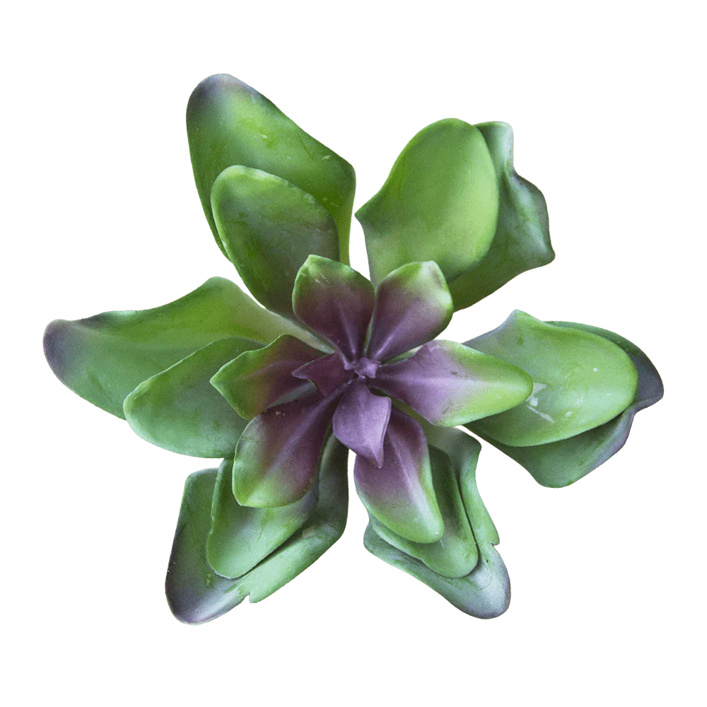 Succulents Fake Faux Lifelike Decorative Things - Image 12