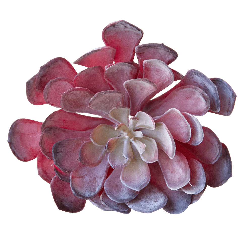 Succulents Fake Faux Lifelike Decorative Things - Image 13