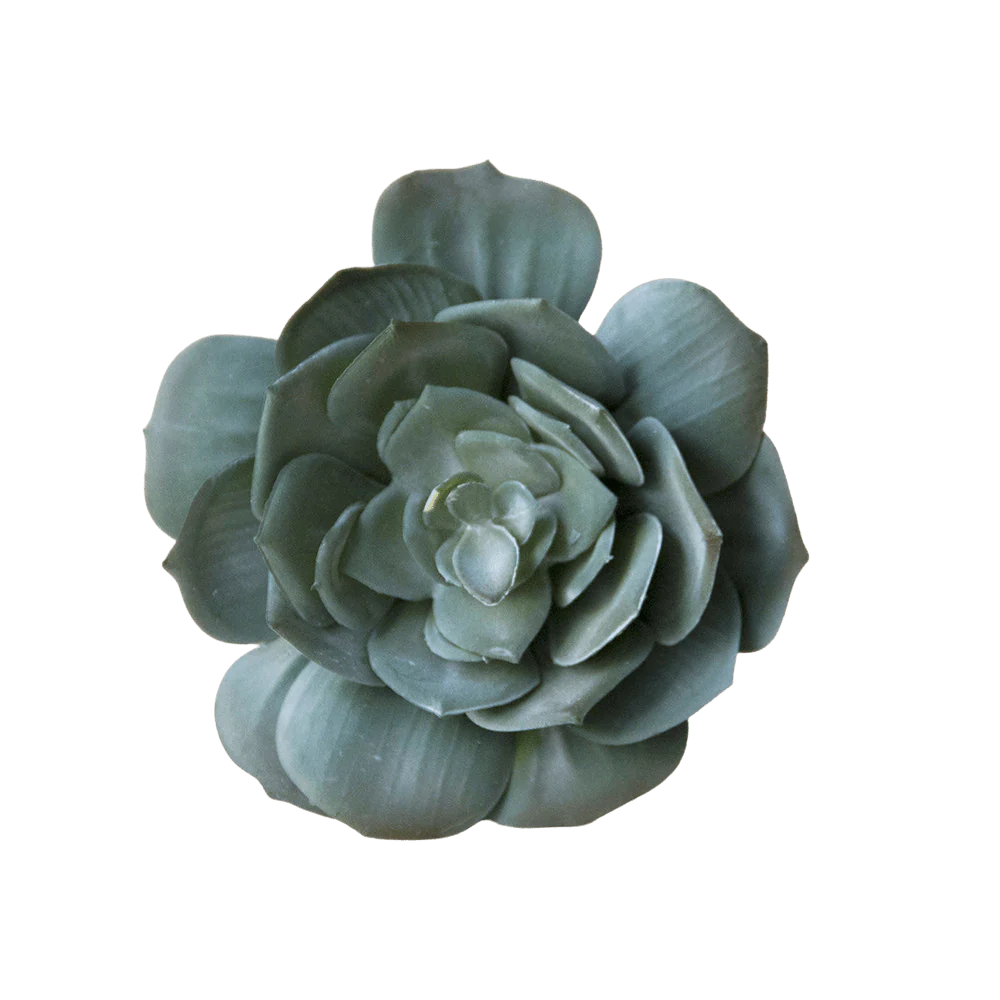 Succulents Fake Faux Lifelike Decorative Things - Image 6