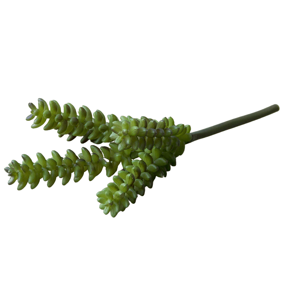 Succulents Fake Faux Lifelike Decorative Things - Image 8