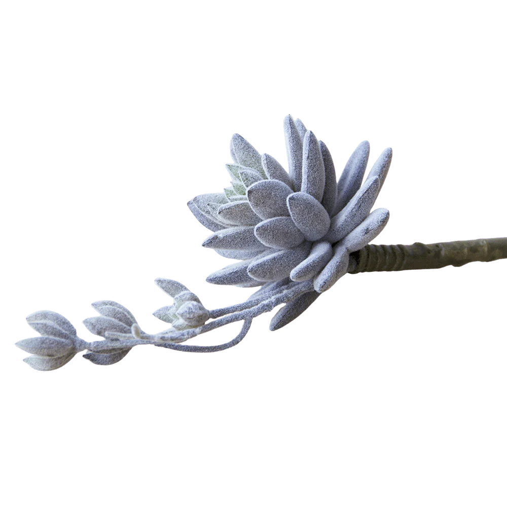 Succulents Fake Faux Lifelike Decorative Things - Image 9