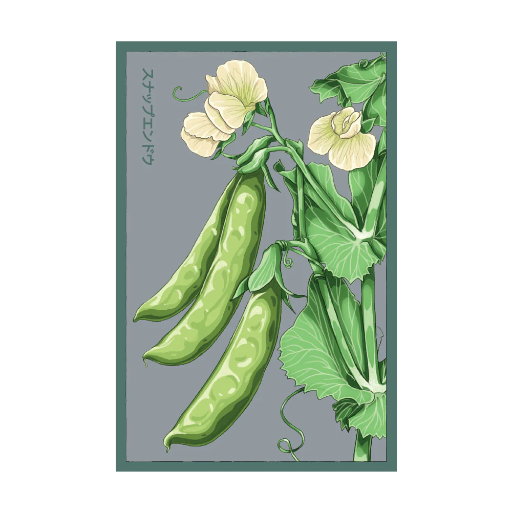 Sugar Snap Pea Vegetable Seeds Packet
