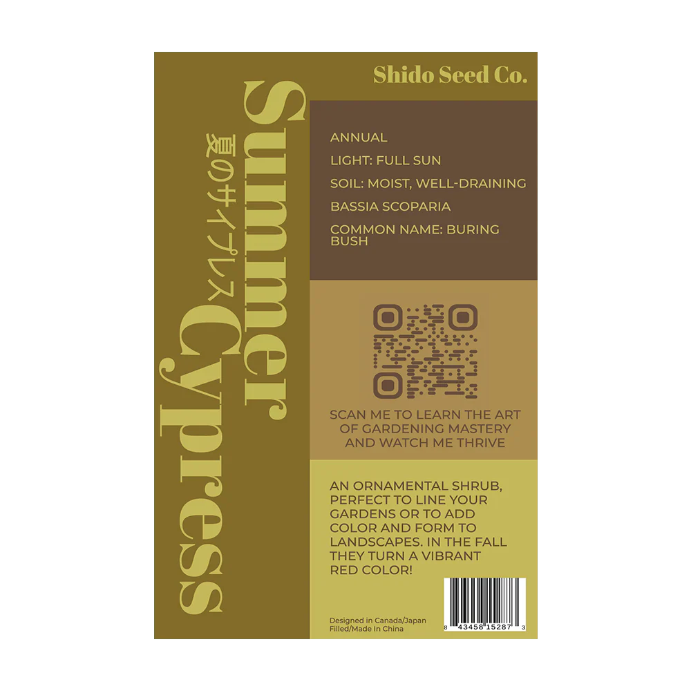 Summer Cypress Flower Seeds Packet - Image 2