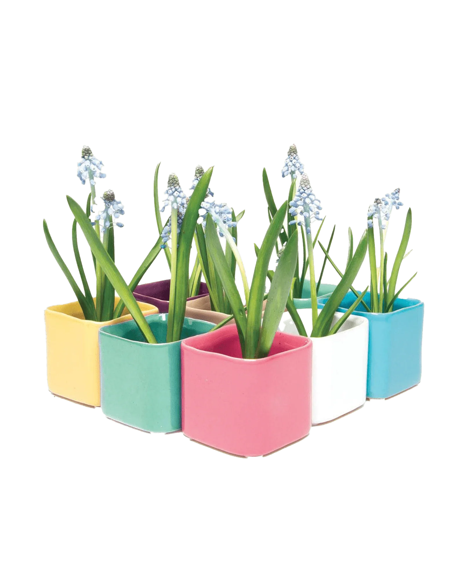 Svek Ceramic Indoor Succulent Pot - Image 13