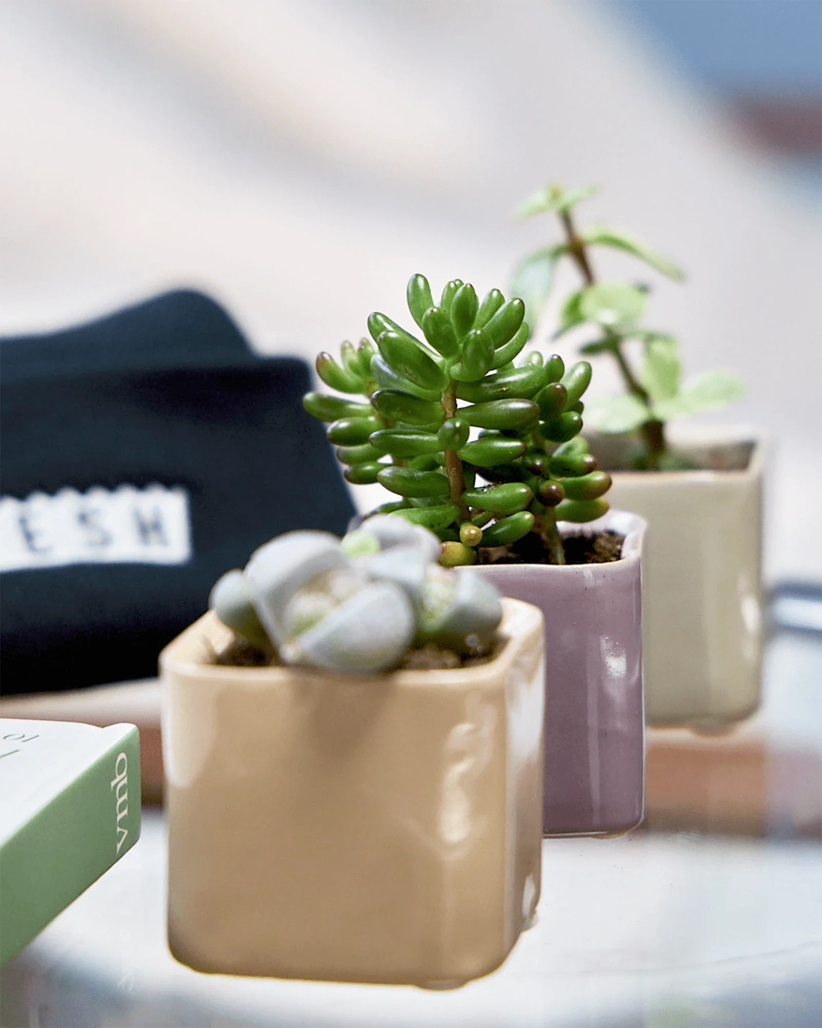 Svek Ceramic Indoor Succulent Pot - Image 2