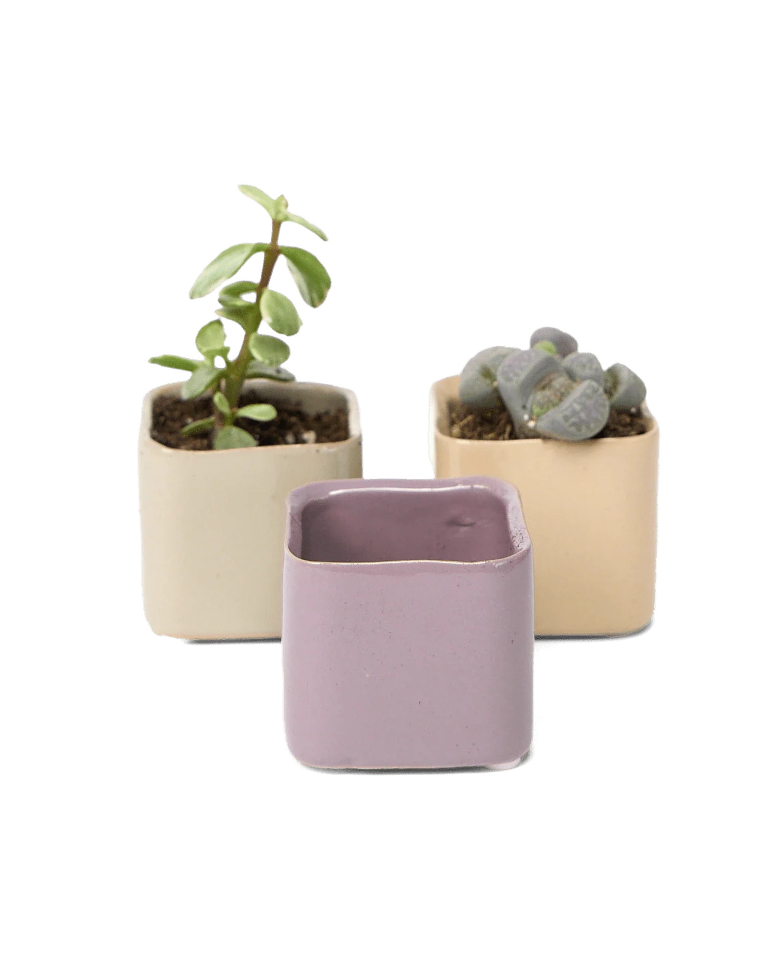Svek Ceramic Indoor Succulent Pot - Image 25