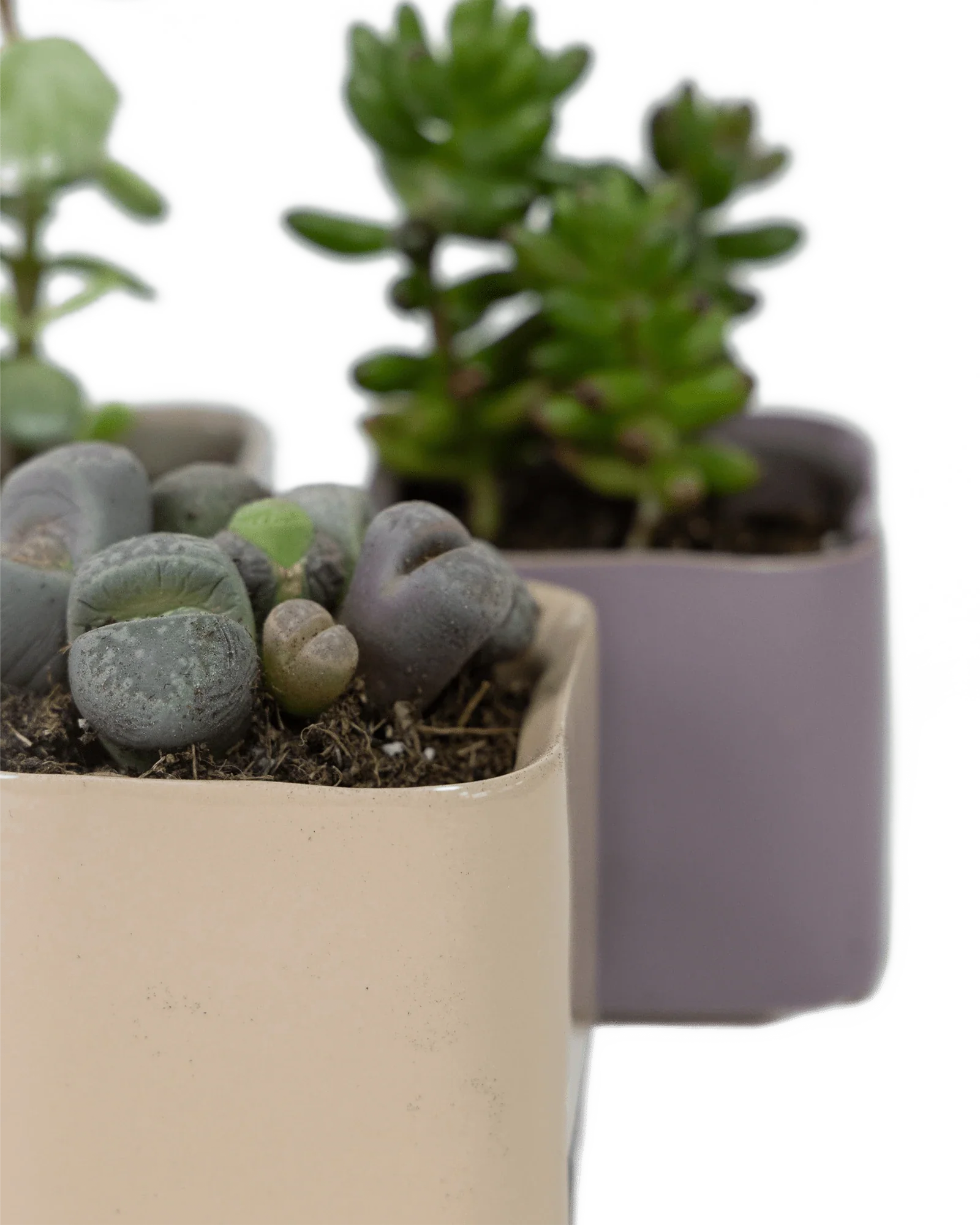 Svek Ceramic Indoor Succulent Pot - Image 26
