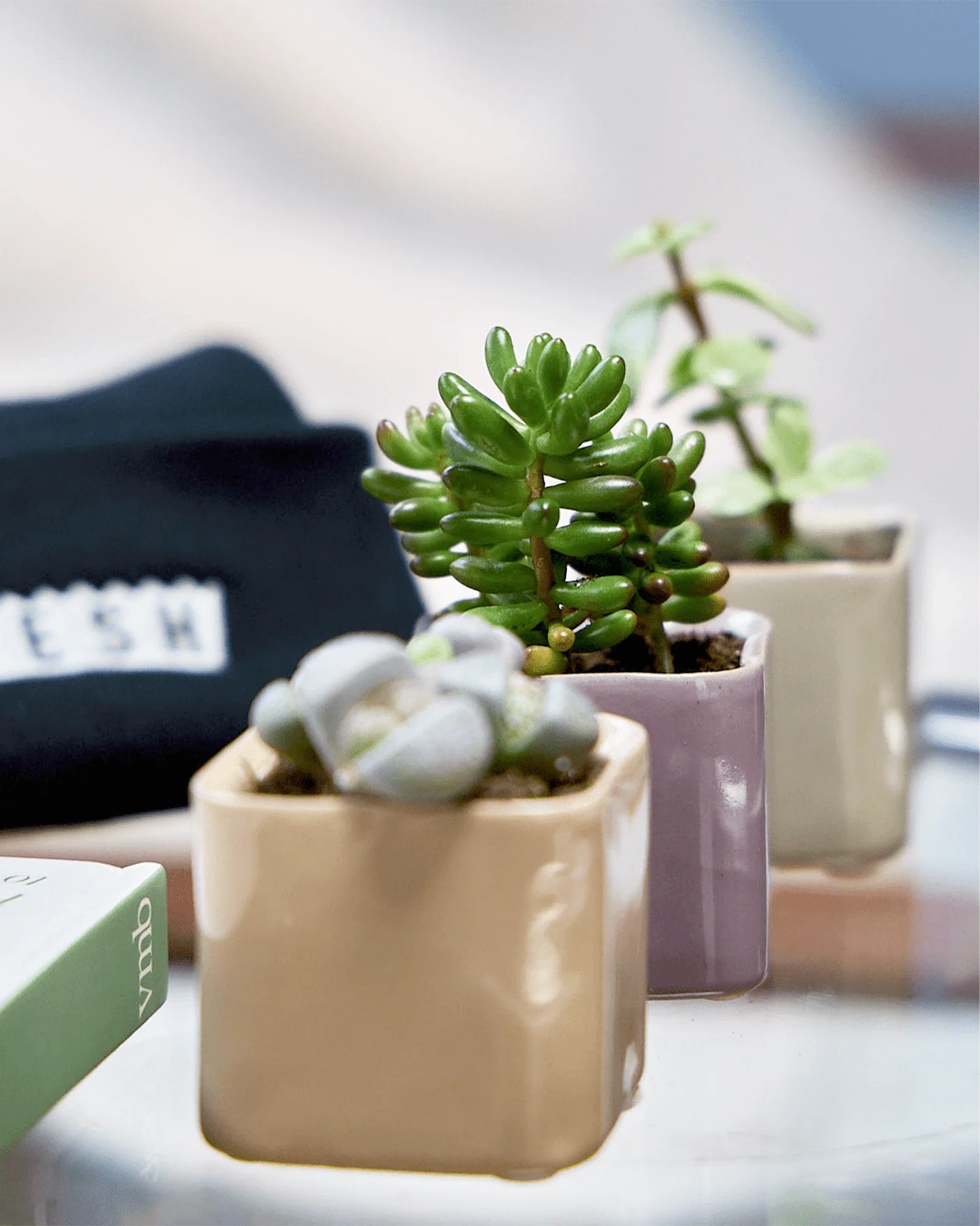 Svek Ceramic Indoor Succulent Pot - Image 27