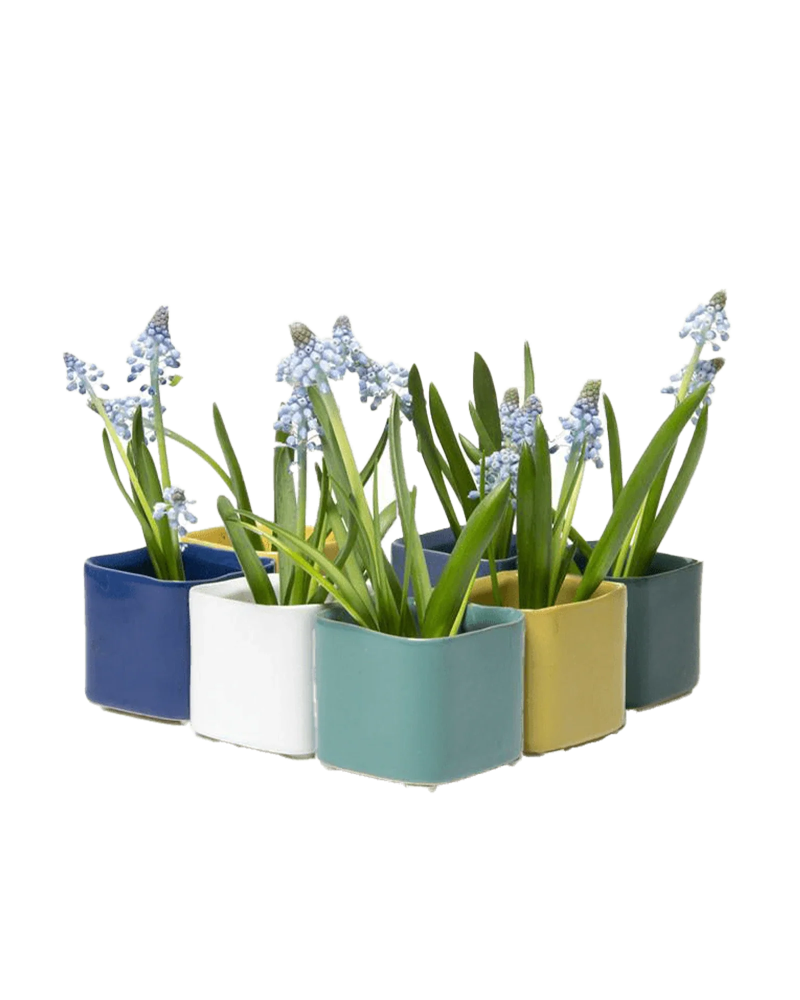 Svek Ceramic Indoor Succulent Pot - Image 29