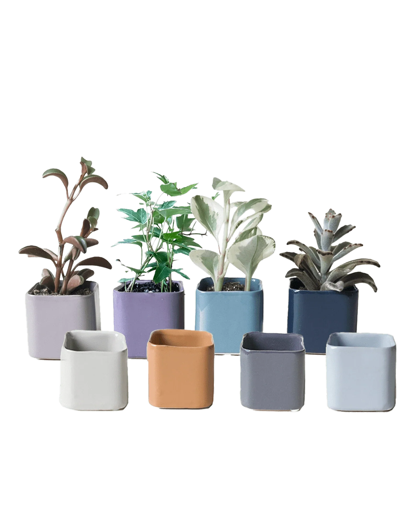 Svek Ceramic Indoor Succulent Pot - Image 7