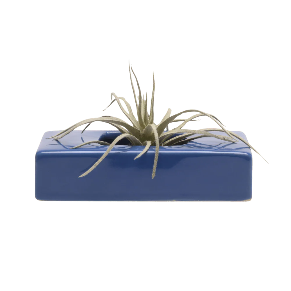 Swayzak Ceramic Dish For Ikebana Kenzans - Image 12