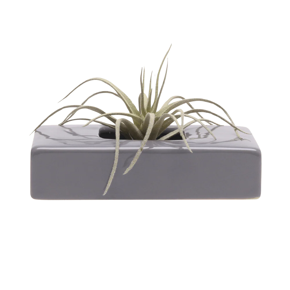 Swayzak Ceramic Dish For Ikebana Kenzans - Image 15