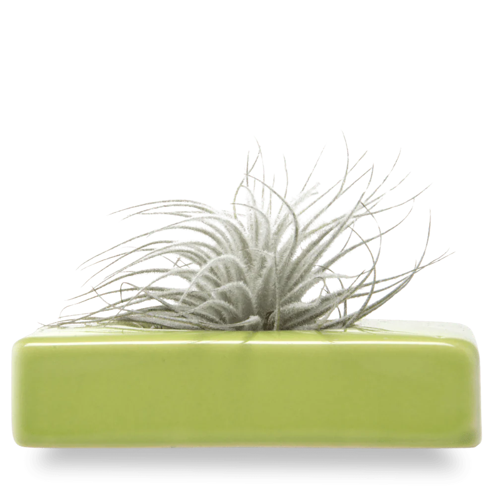 Swayzak Ceramic Dish For Ikebana Kenzans - Image 16