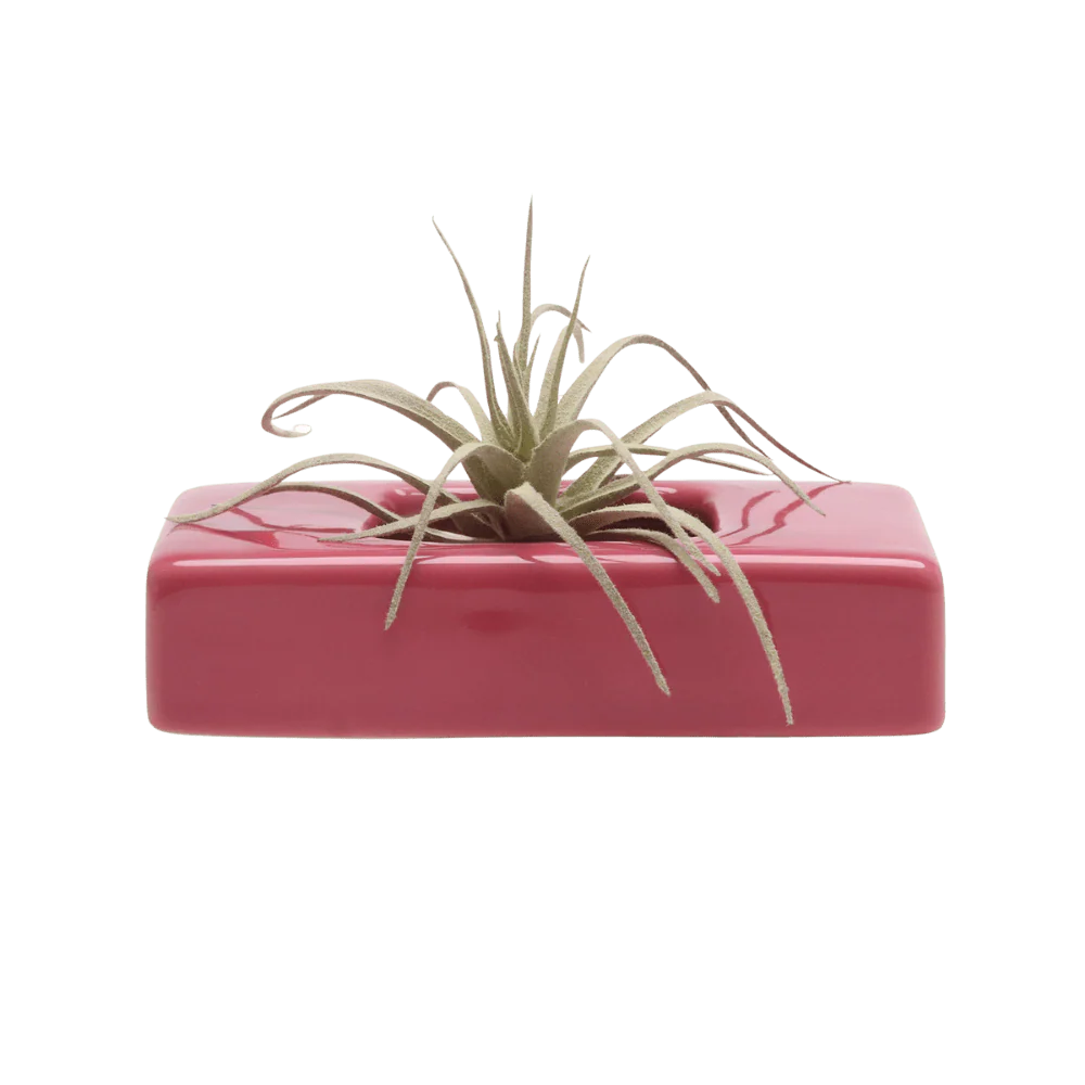 Swayzak Ceramic Dish For Ikebana Kenzans - Image 19