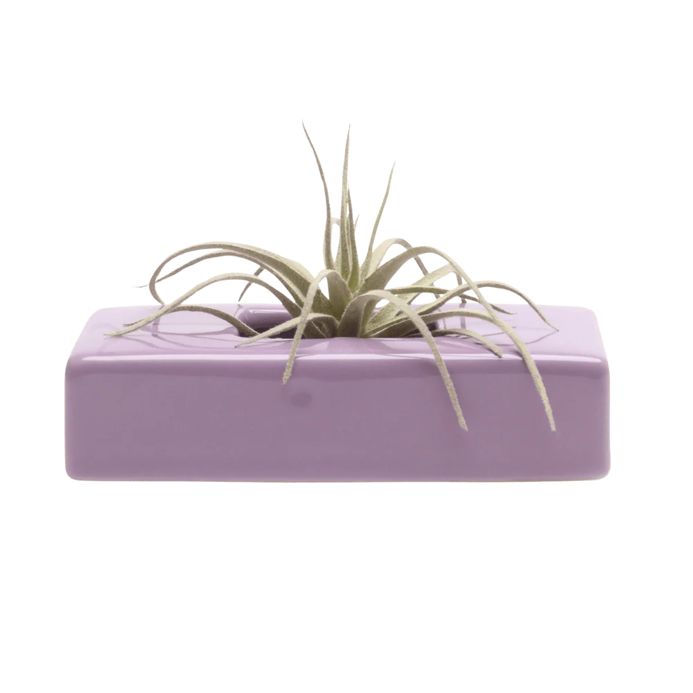 Swayzak Ceramic Dish For Ikebana Kenzans - Image 22