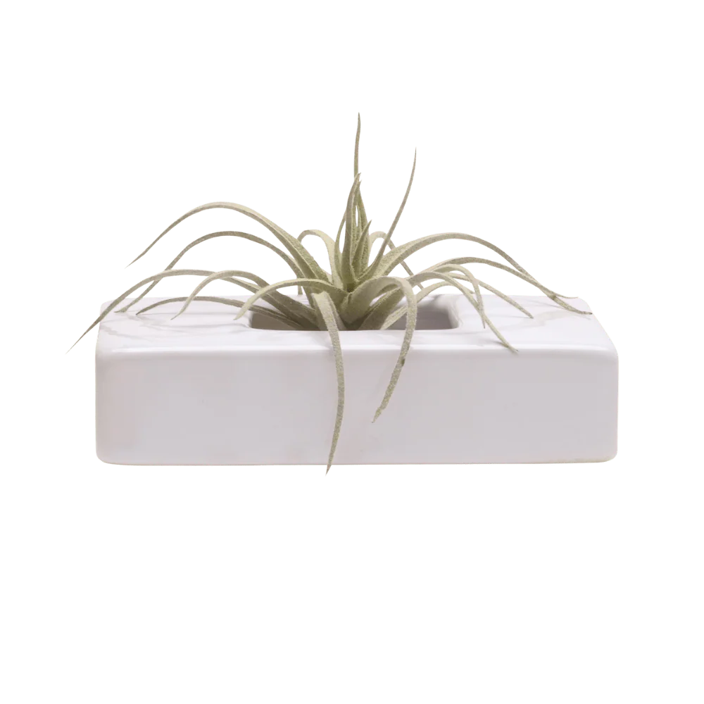 Swayzak Ceramic Dish For Ikebana Kenzans - Image 25