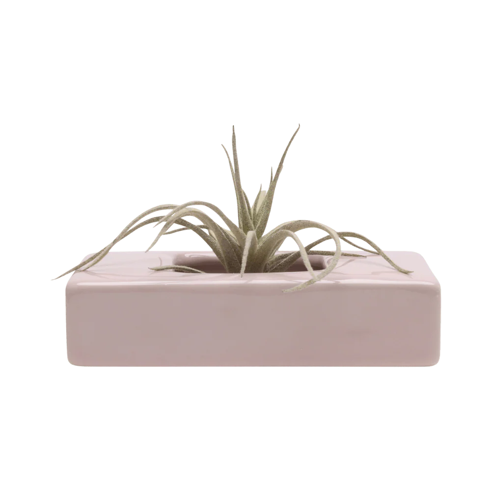 Swayzak Ceramic Dish For Ikebana Kenzans - Image 5