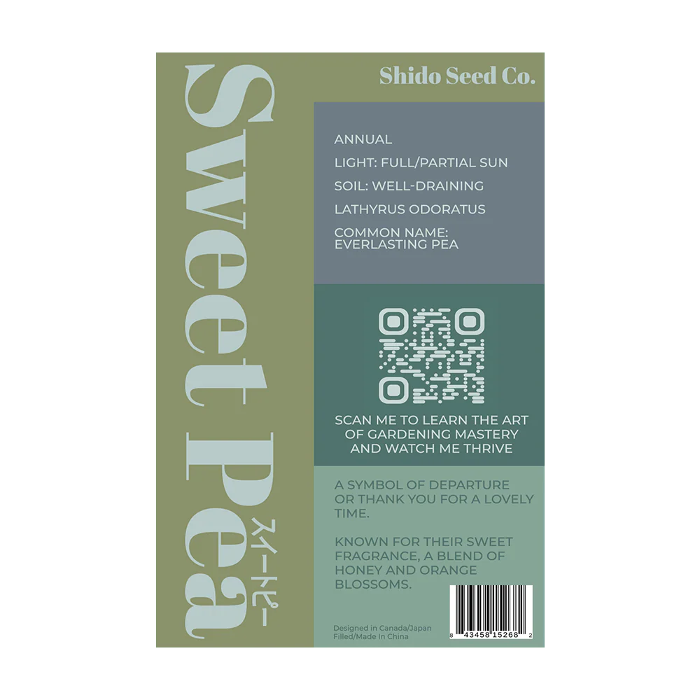 Sweet Pea Flower Seeds Packet - Image 2