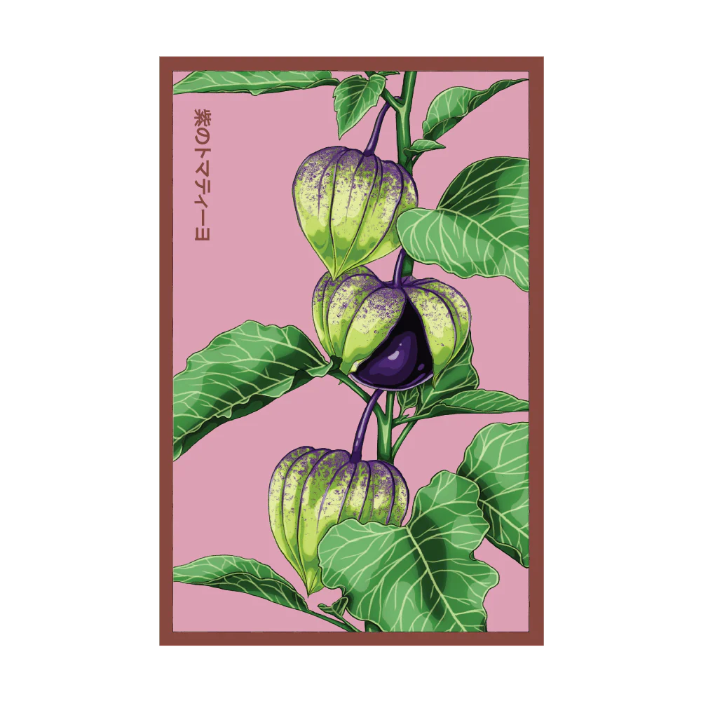 Sweet Purple Tomatillo Vegetable Seeds Packet