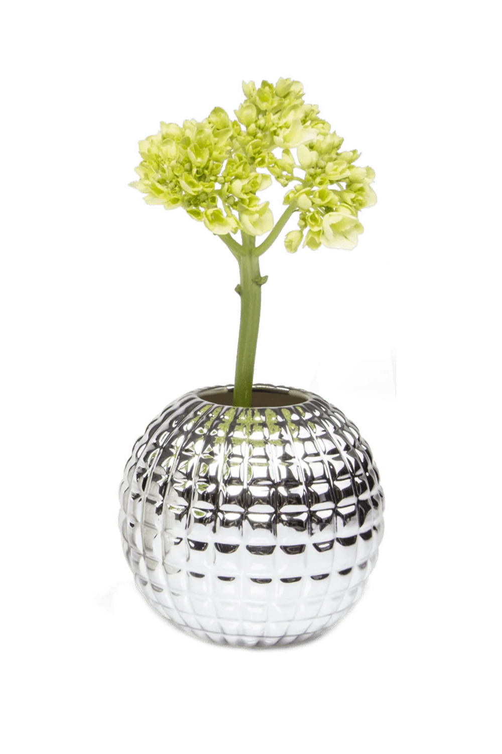 Tac Porcelain Flower Vase