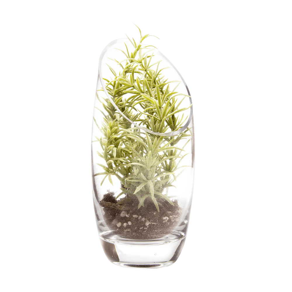 Terrarium Bowl Glass Succulent Garden - Image 5