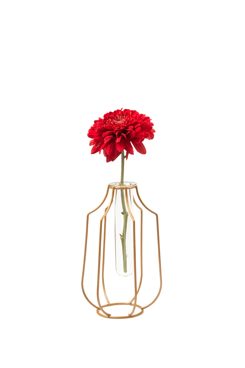 Test Tube Glass Propagation Vase