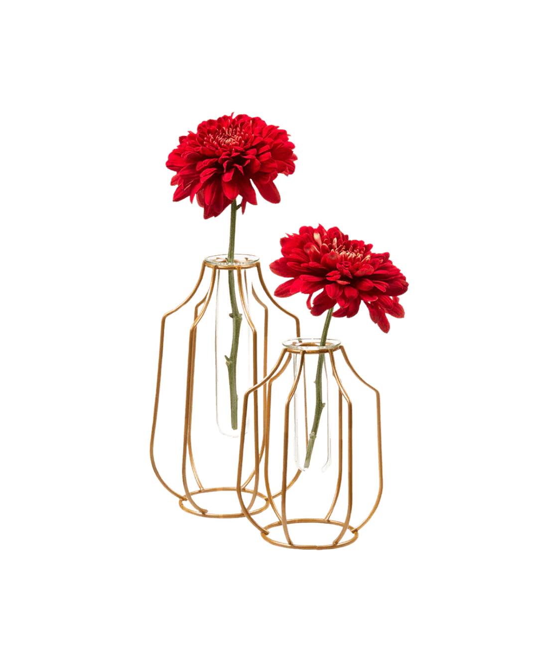 Test Tube Glass Propagation Vase - Image 2