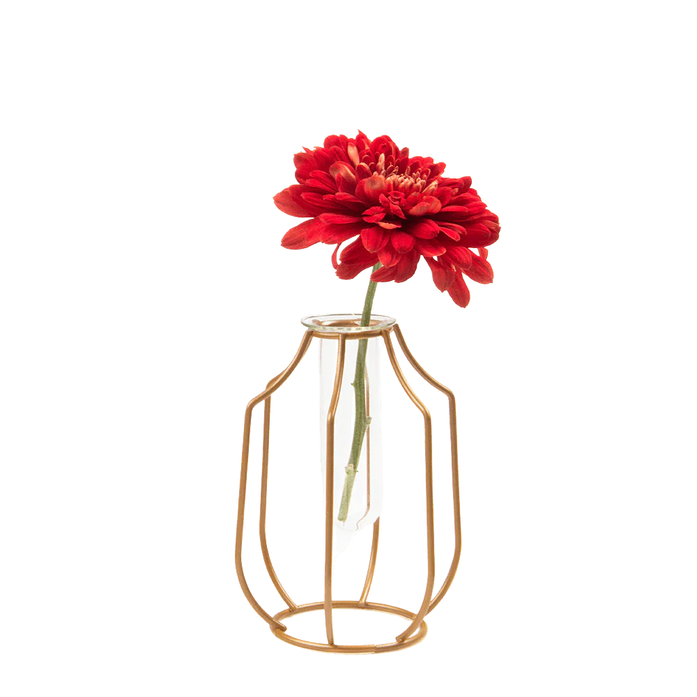 Test Tube Glass Propagation Vase - Image 3