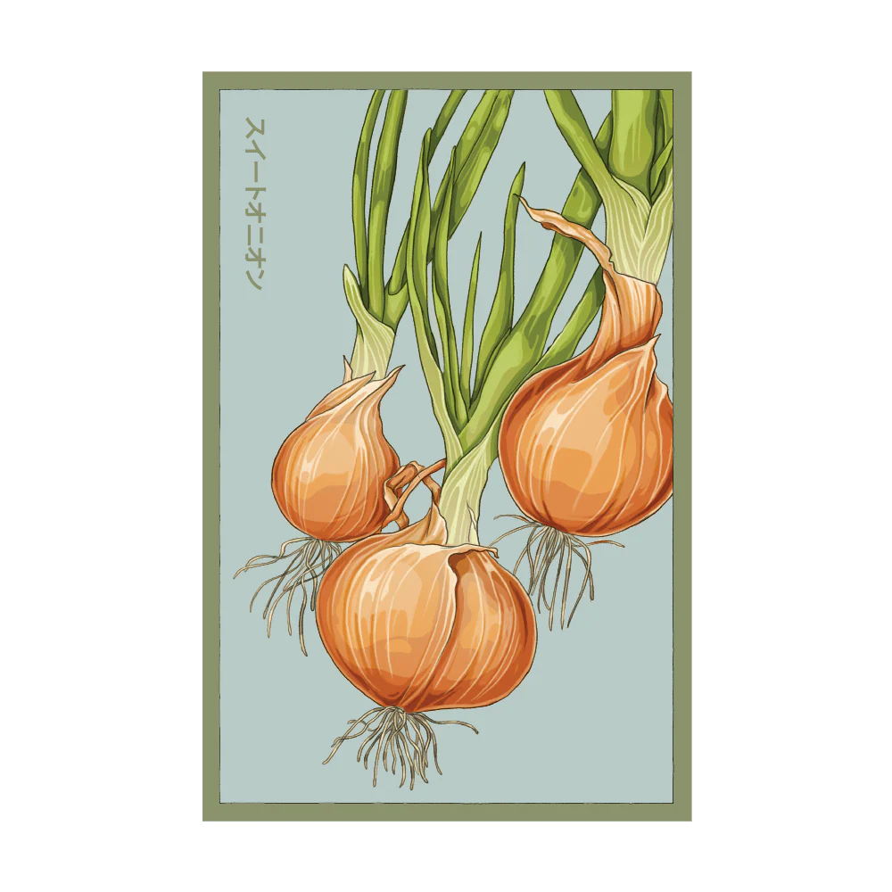 Texas Super Sweet Onion Vegetable Seeds Packet