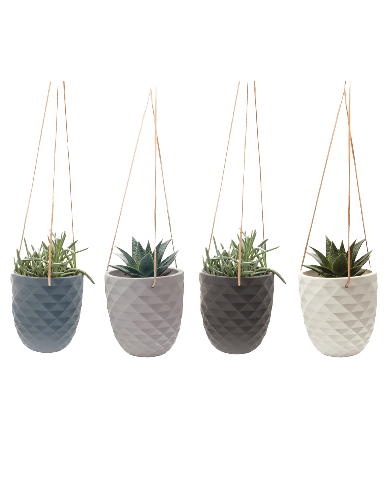 Thimble Porcelain Modern Hanging Planter - Image 10